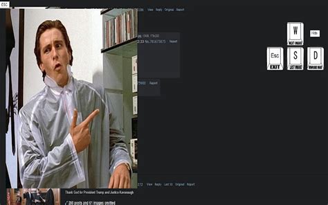 4chan archive search|4chan .